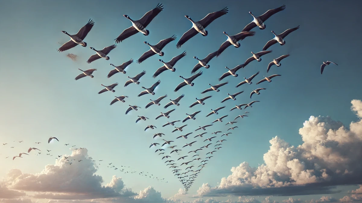 Správnou spoluprací a koordinací lze ušetřit spoustu energie!