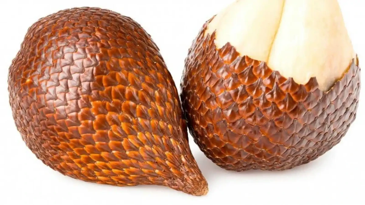 Tisíce hadů ročně jsou v Asii zabity kvůli oblíbené pochoutce!