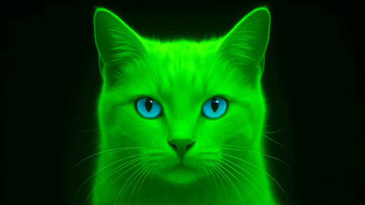 Svítící kočky pomáhají v boji proti HIV