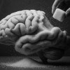 Cukr - energie i jed pro náš mozek - narušuje paměť, přispívá k demenci
