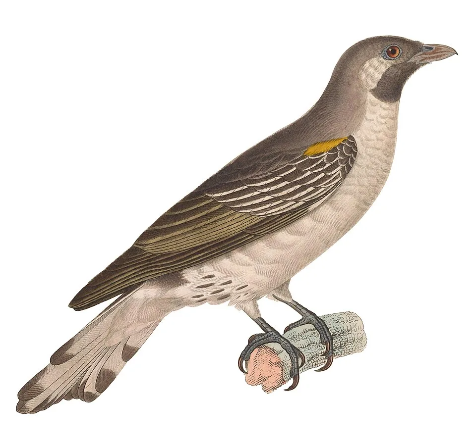Indicator_indicator_1838,_crop