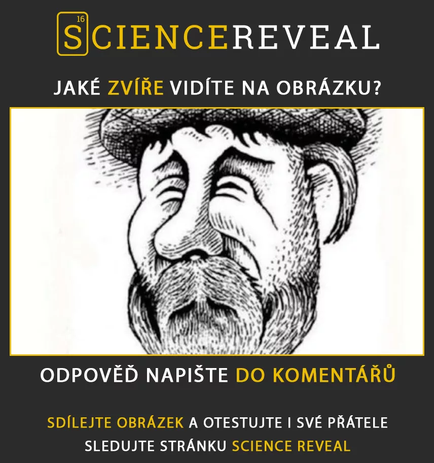 Jaké zvíře vidíte na obrázku?