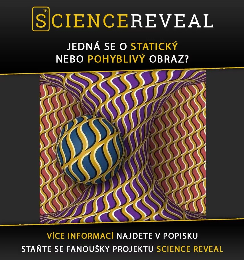 Jedná se o statický nebo pohyblivý obraz?